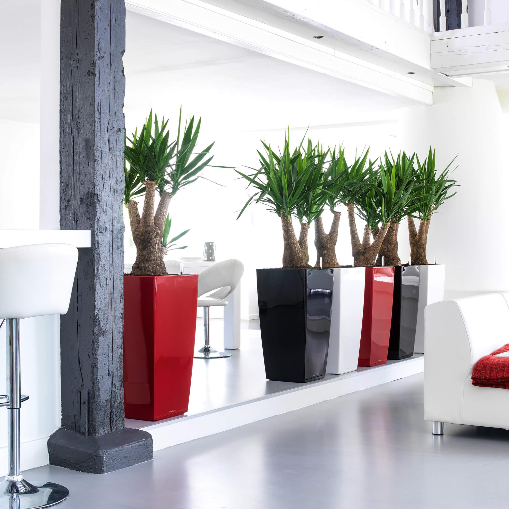 CUBICO Premium 40 charcoal metallic